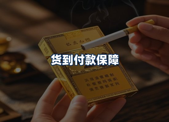 专业团队办公环境